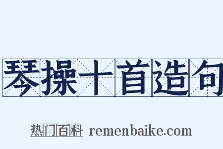 琴操十首造句是什么意思的图片